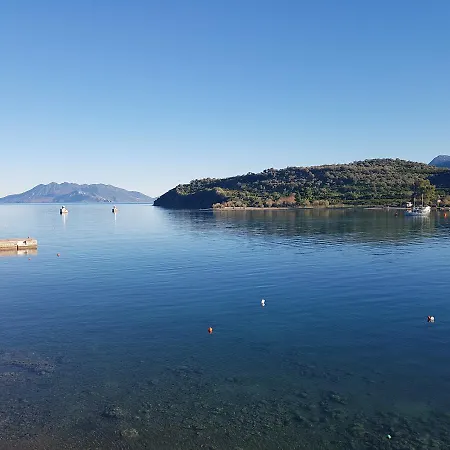 Mike Epidaurus